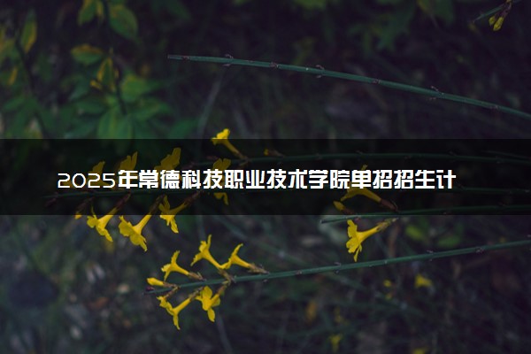 2025年常德科技职业技术学院单招招生计划及专业
