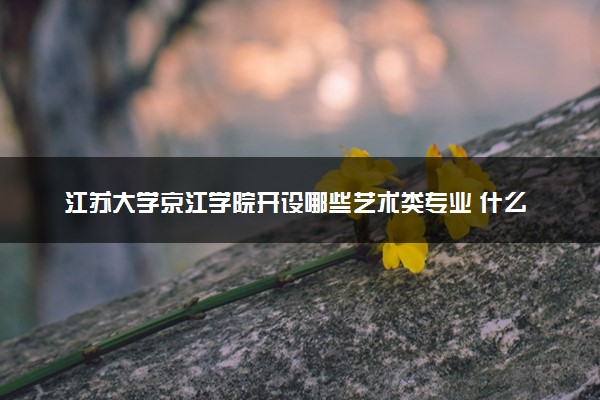 江苏大学京江学院开设哪些艺术类专业 什么专业前景好
