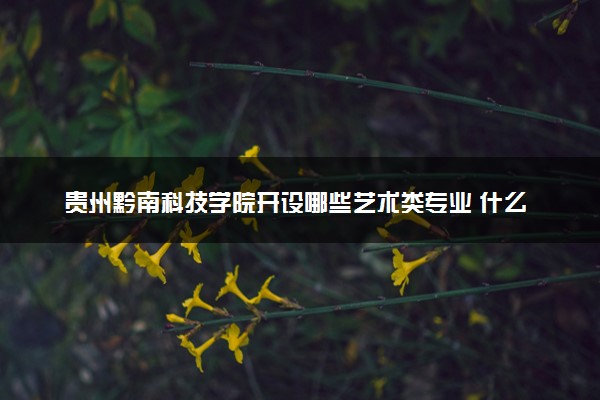 贵州黔南科技学院开设哪些艺术类专业 什么专业前景好