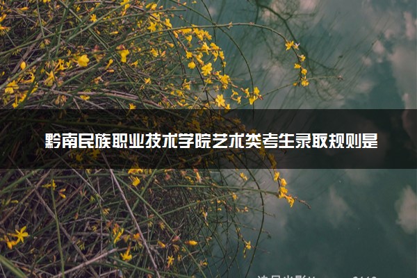 黔南民族职业技术学院艺术类考生录取规则是怎样的 有哪些要求