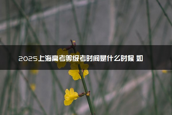 2025上海高考等级考时间是什么时候 如何准备考试