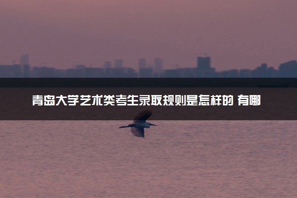 青岛大学艺术类考生录取规则是怎样的 有哪些要求