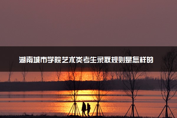 湖南城市学院艺术类考生录取规则是怎样的 有哪些要求
