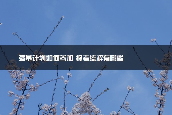 强基计划如何参加 报考流程有哪些