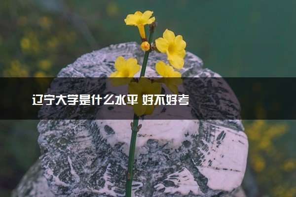 辽宁大学是什么水平 好不好考