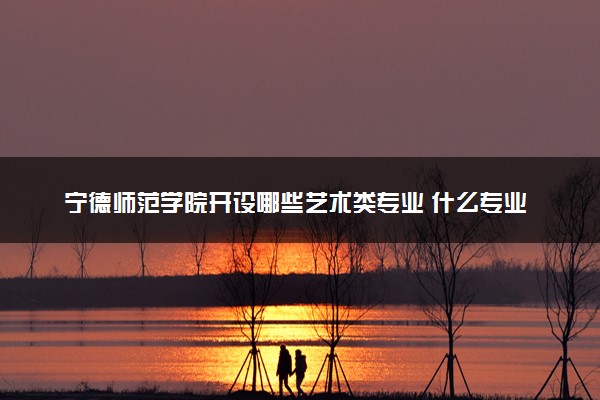 宁德师范学院开设哪些艺术类专业 什么专业前景好
