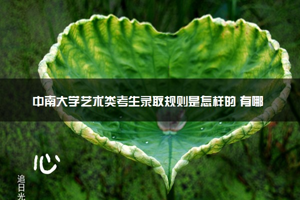 中南大学艺术类考生录取规则是怎样的 有哪些要求