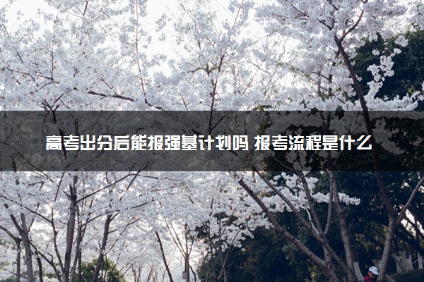 高考出分后能报强基计划吗 报考流程是什么