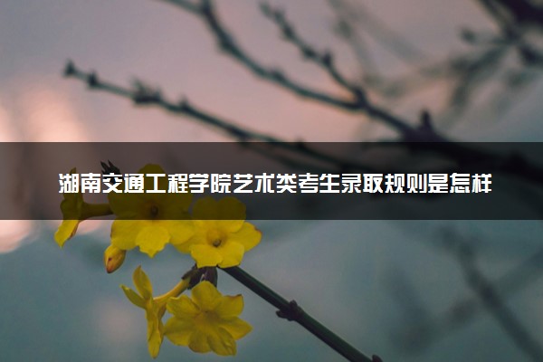 湖南交通工程学院艺术类考生录取规则是怎样的 有哪些要求