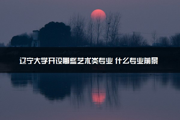 辽宁大学开设哪些艺术类专业 什么专业前景好