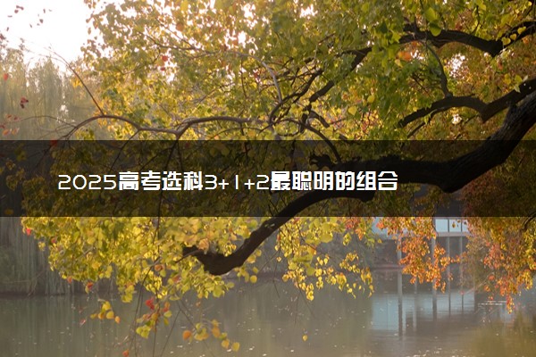 2025高考选科3+1+2最聪明的组合 有什么推荐
