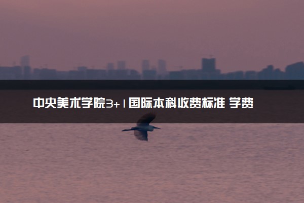中央美术学院3+1国际本科收费标准 学费多少钱
