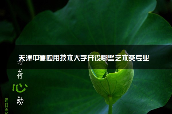 天津中德应用技术大学开设哪些艺术类专业 什么专业前景好