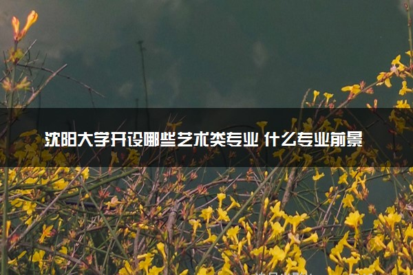 沈阳大学开设哪些艺术类专业 什么专业前景好