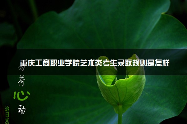 重庆工商职业学院艺术类考生录取规则是怎样的 有哪些要求