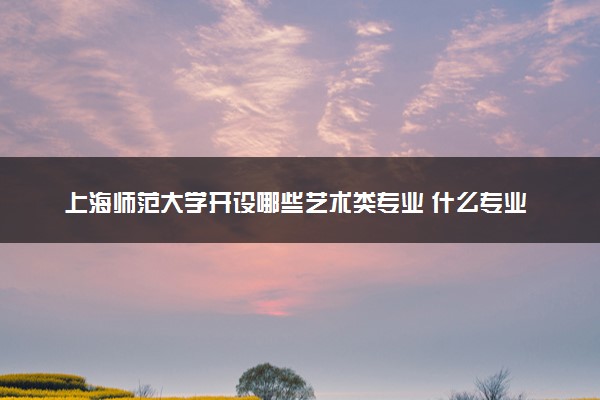 上海师范大学开设哪些艺术类专业 什么专业前景好
