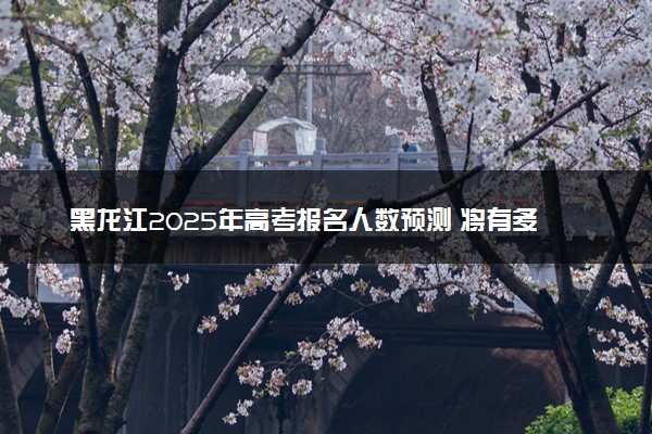 黑龙江2025年高考报名人数预测 将有多少考生参加高考