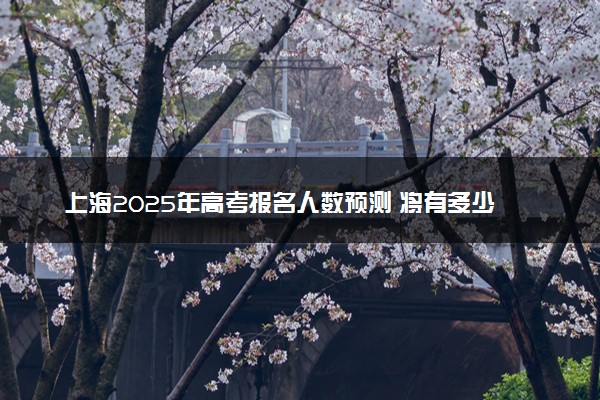 上海2025年高考报名人数预测 将有多少考生参加高考