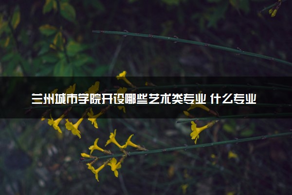 兰州城市学院开设哪些艺术类专业 什么专业前景好
