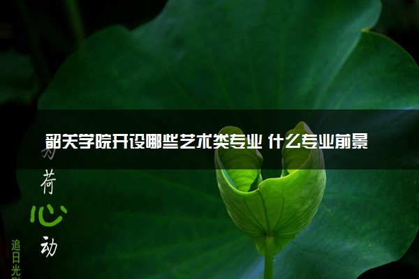 韶关学院开设哪些艺术类专业 什么专业前景好