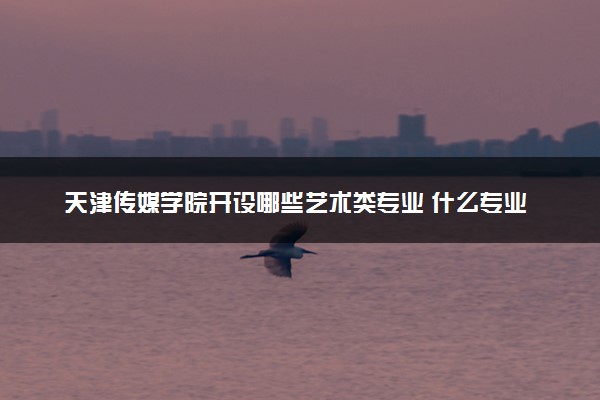 天津传媒学院开设哪些艺术类专业 什么专业前景好