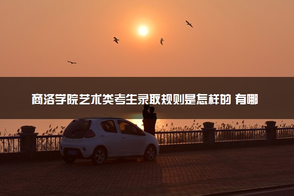 商洛学院艺术类考生录取规则是怎样的 有哪些要求