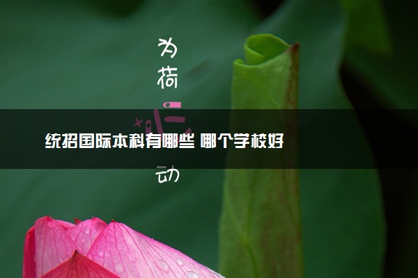统招国际本科有哪些 哪个学校好