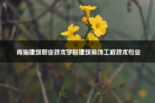 青海建筑职业技术学院建筑装饰工程技术专业怎么样 录取分数线多少