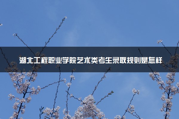 湖北工程职业学院艺术类考生录取规则是怎样的 有哪些要求