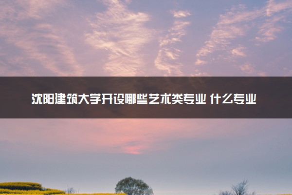 沈阳建筑大学开设哪些艺术类专业 什么专业前景好