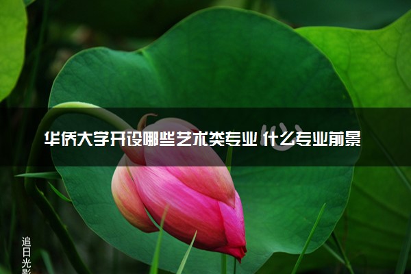 华侨大学开设哪些艺术类专业 什么专业前景好