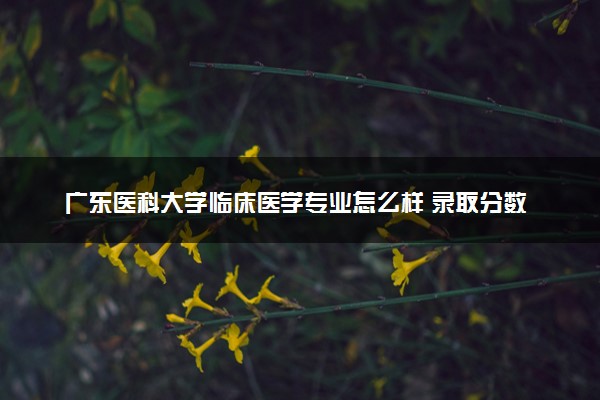 广东医科大学临床医学专业怎么样 录取分数线多少
