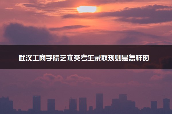 武汉工商学院艺术类考生录取规则是怎样的 有哪些要求