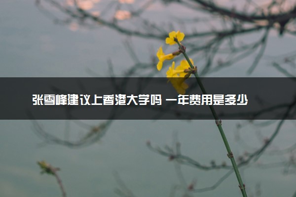 张雪峰建议上香港大学吗 一年费用是多少