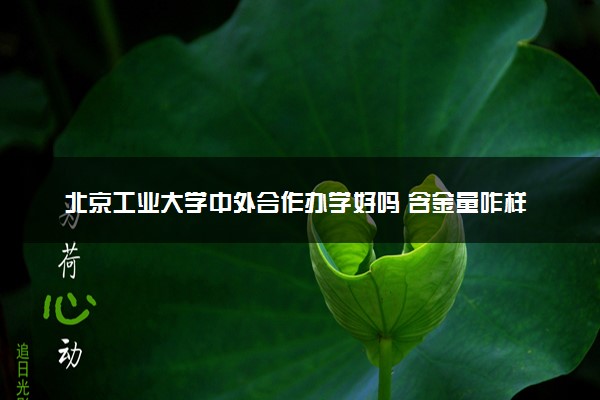 北京工业大学中外合作办学好吗 含金量咋样