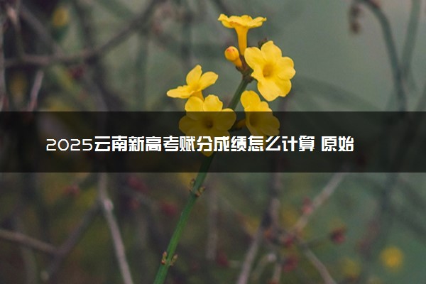 2025云南新高考赋分成绩怎么计算 原始成绩与赋分对照表