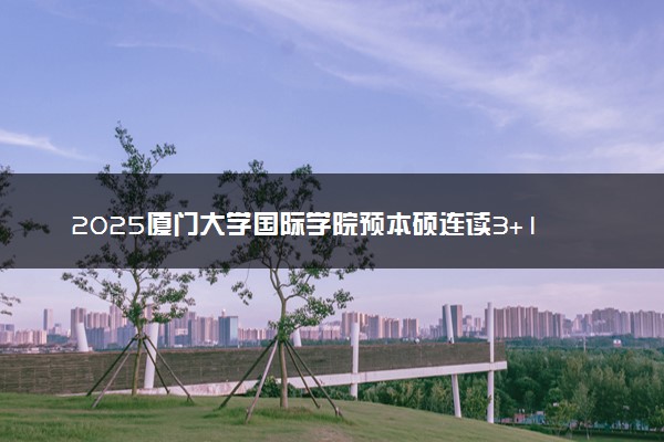 2025厦门大学国际学院预本硕连读3+1+1专业及招生人数
