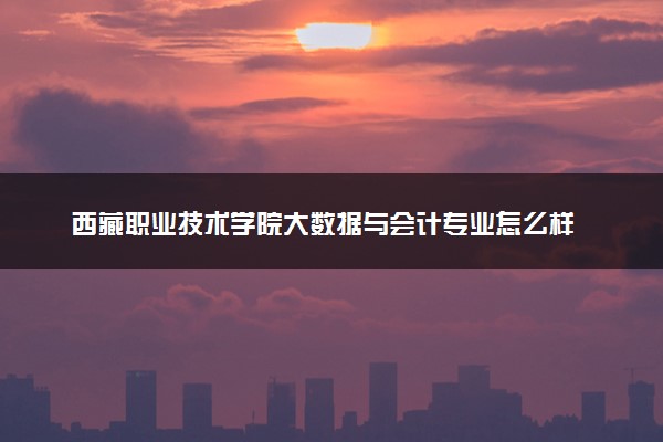 西藏职业技术学院大数据与会计专业怎么样 录取分数线多少
