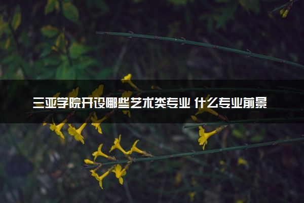 三亚学院开设哪些艺术类专业 什么专业前景好