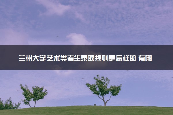 兰州大学艺术类考生录取规则是怎样的 有哪些要求