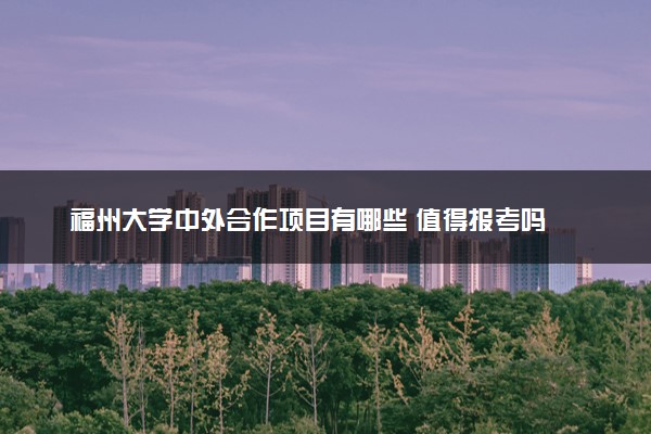 福州大学中外合作项目有哪些 值得报考吗