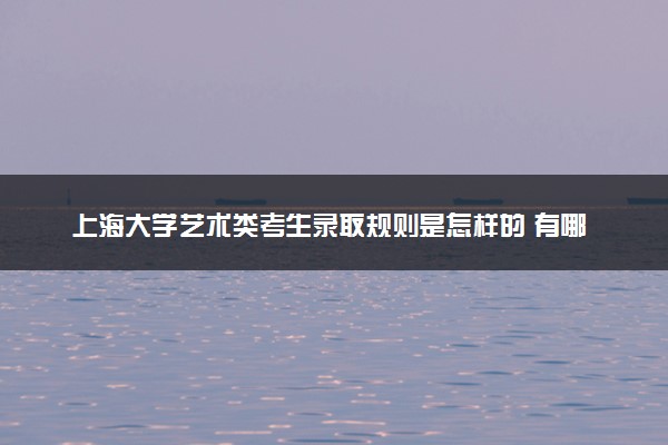 上海大学艺术类考生录取规则是怎样的 有哪些要求