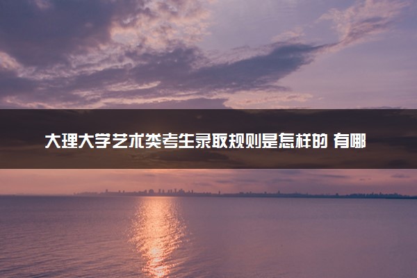 大理大学艺术类考生录取规则是怎样的 有哪些要求