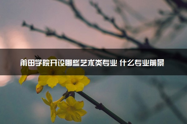 莆田学院开设哪些艺术类专业 什么专业前景好