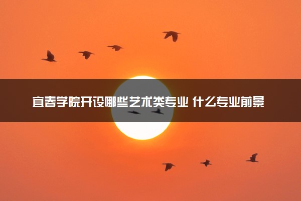 宜春学院开设哪些艺术类专业 什么专业前景好