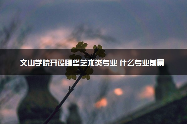 文山学院开设哪些艺术类专业 什么专业前景好