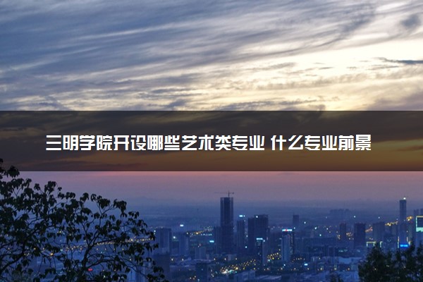 三明学院开设哪些艺术类专业 什么专业前景好