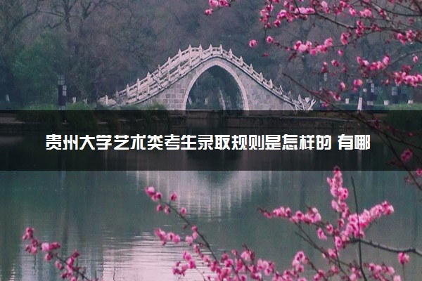 贵州大学艺术类考生录取规则是怎样的 有哪些要求