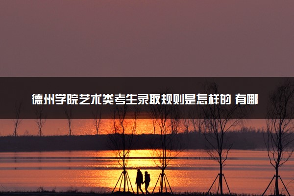 德州学院艺术类考生录取规则是怎样的 有哪些要求