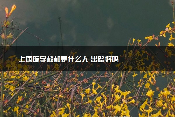 上国际学校都是什么人 出路好吗